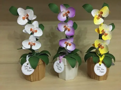 Arquivos Silhouette caixa vaso Orquídea 02