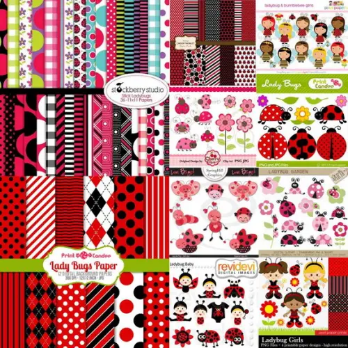 Kits Scrapbook Joaninha Png Papel Digital