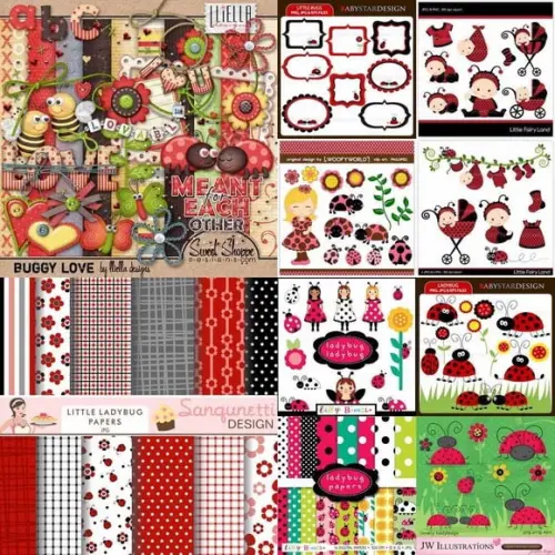 Kits Scrapbook Joaninha Png Papel Digital