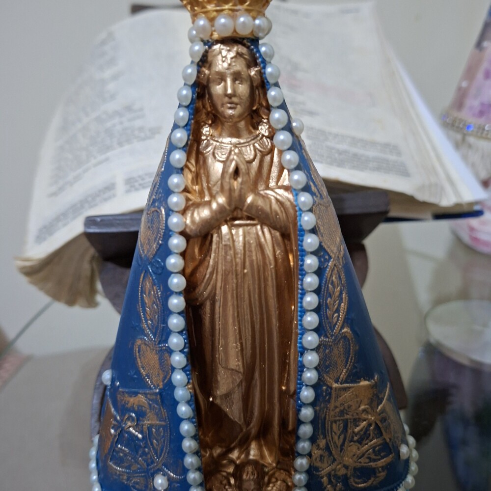 Imagem Nossa Senhora com Manto detalhado