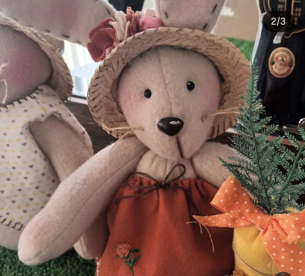 Casal de coelhos