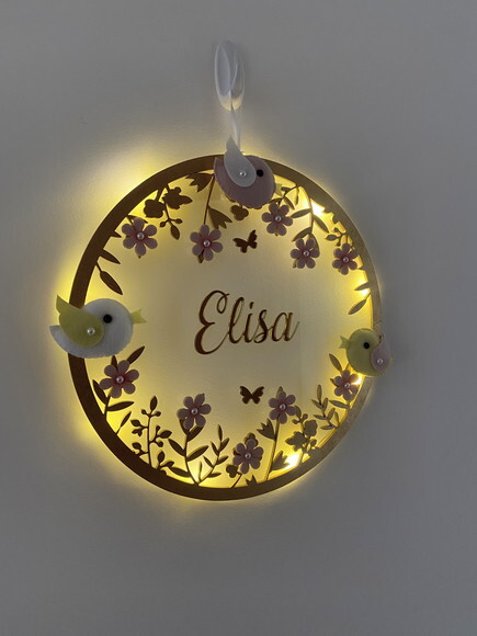 Porta Maternidade Pássaros Led Acrílico e Espelho