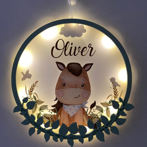 Porta Maternidade Led Cavalinho Acrílico e Espelho