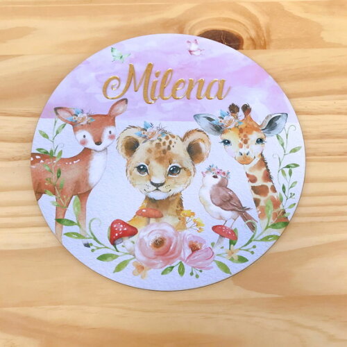 Porta Maternidade MDF e Espelho