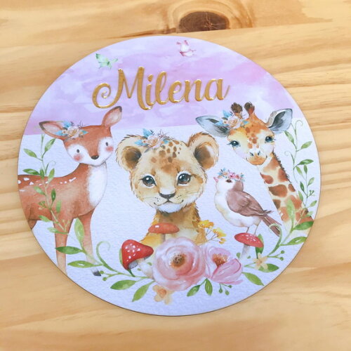 Porta Maternidade MDF e Espelho