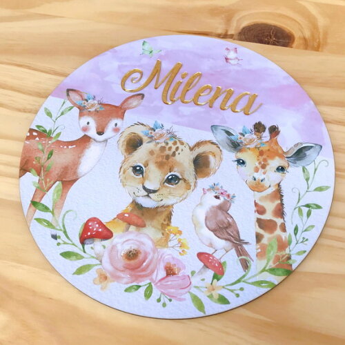 Porta Maternidade MDF e Espelho