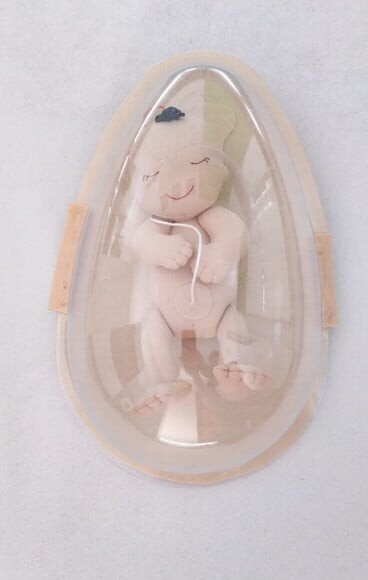 Recurso Visual Bebê no Útero - 44cm