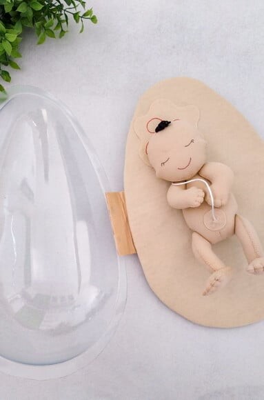 Recurso Visual Bebê no Útero - 44cm