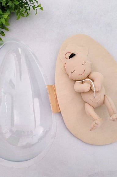 Recurso Visual Bebê no Útero - 44cm