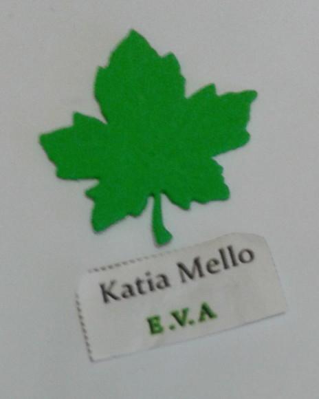 Folhas em eva