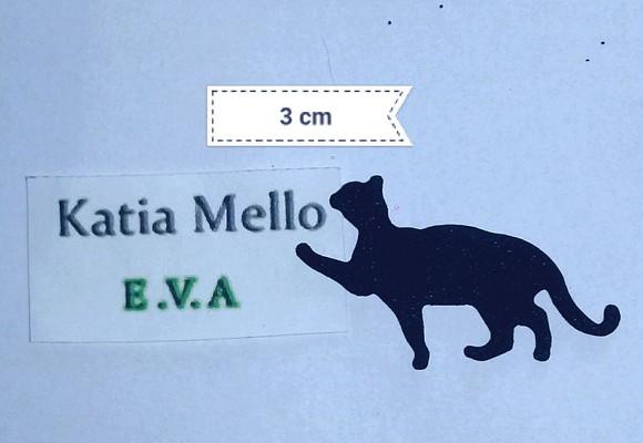 Gatinho em eva