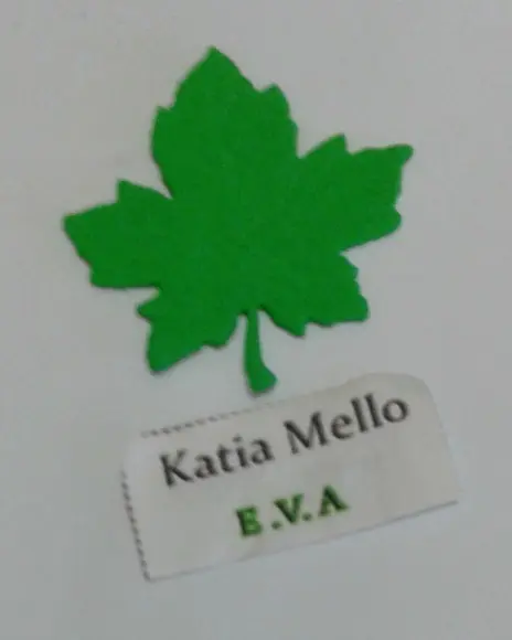 Folhas em eva