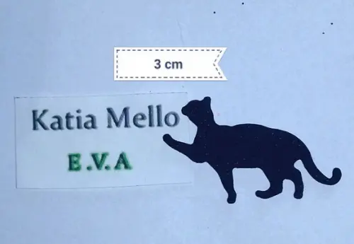 Gatinho em eva