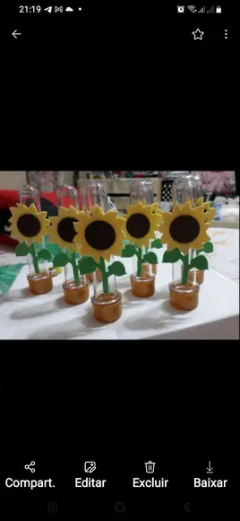 girassol em eva