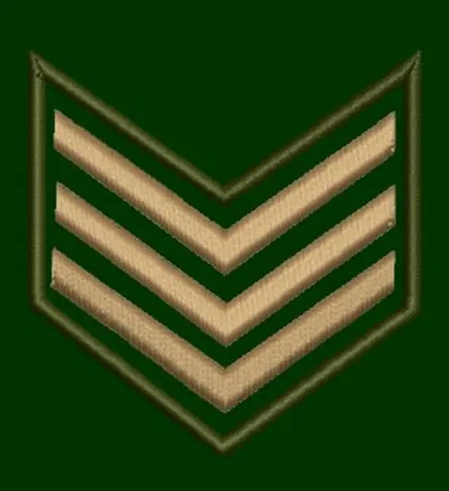 Matriz Personalizado para Maquina Bordado Bordadeiras