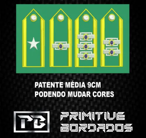 Tarjeta Patente Bordado Velcro /Termocolante 9x2,5cm