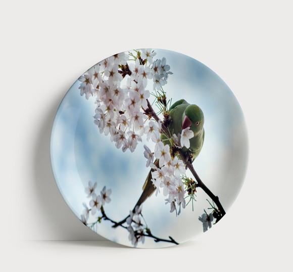 Prato Decorativo Pássaro e Flores de Cerejeira - Porcelana 21cm