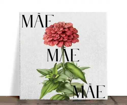 Azulejo Decorativo Mãe Botânico Flor Vermelha 15x15