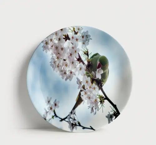 Prato Decorativo Pássaro e Flores de Cerejeira