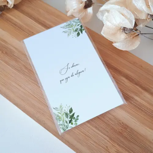 Lágrimas de Alegria Casamento | Greenery | Coleção Verano