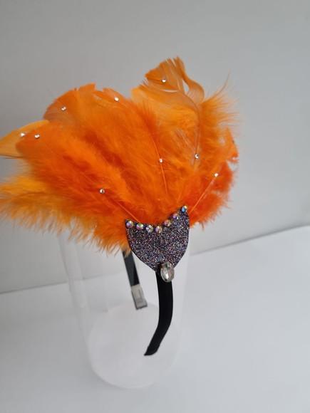 Tiaras/ Bico de Pato para o Carnaval - Arranjo e Plumas