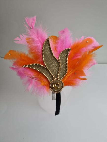 Tiaras/ Bico de Pato para o Carnaval - Arranjo e Plumas