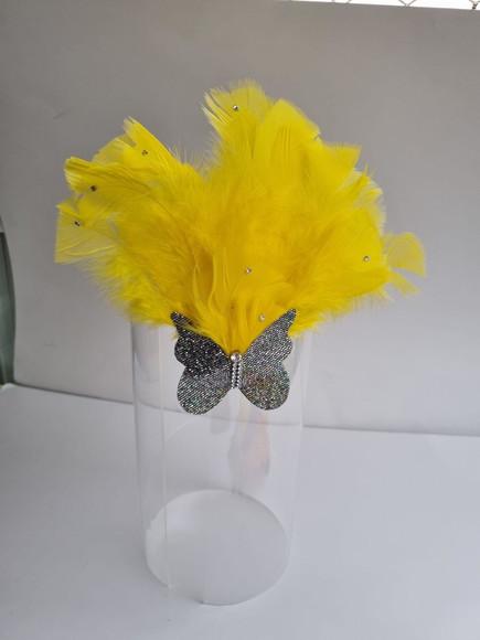 Tiaras/ Bico de Pato para o Carnaval - Arranjo e Plumas