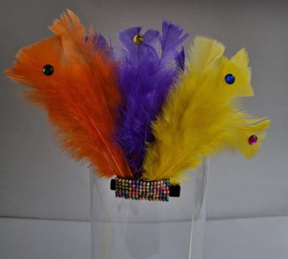 Tiaras/ Bico de Pato para o Carnaval - Flores e Plumas