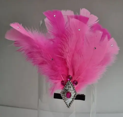 Tiaras/ Bico de Pato para o Carnaval - Flores e Plumas