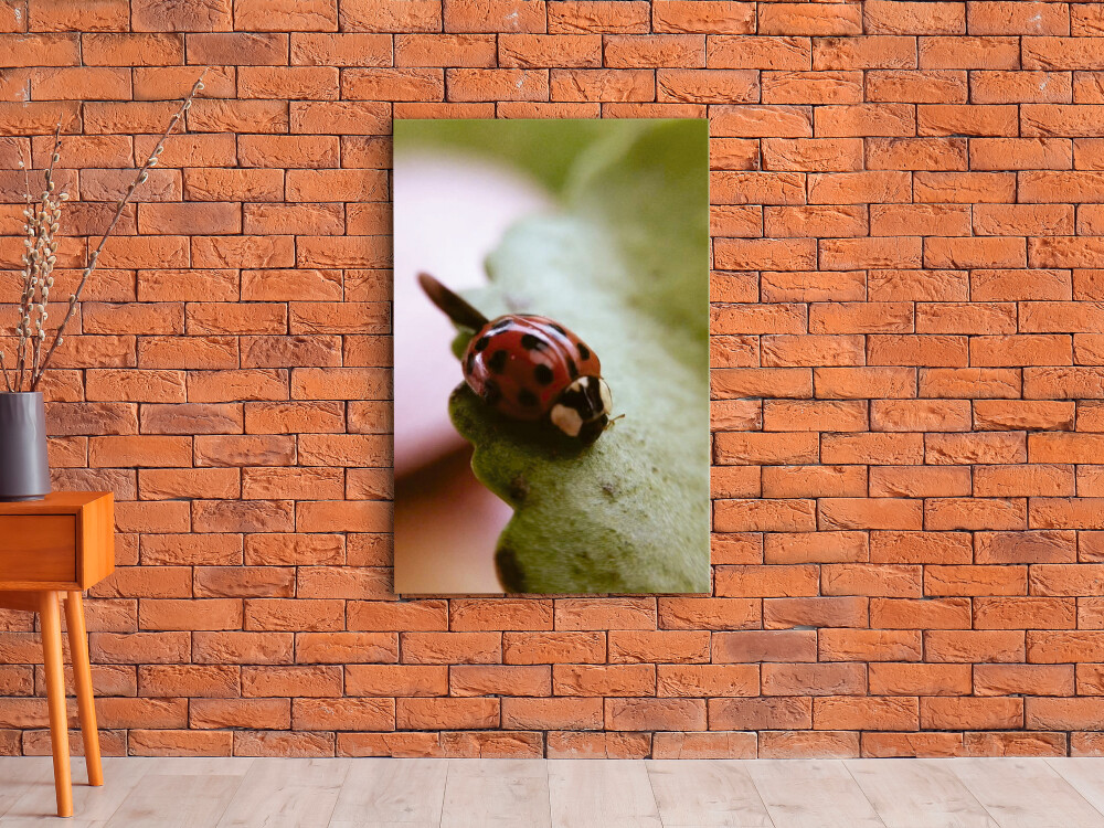 QUADRO DE DECORAÇÃO 20X30cm
