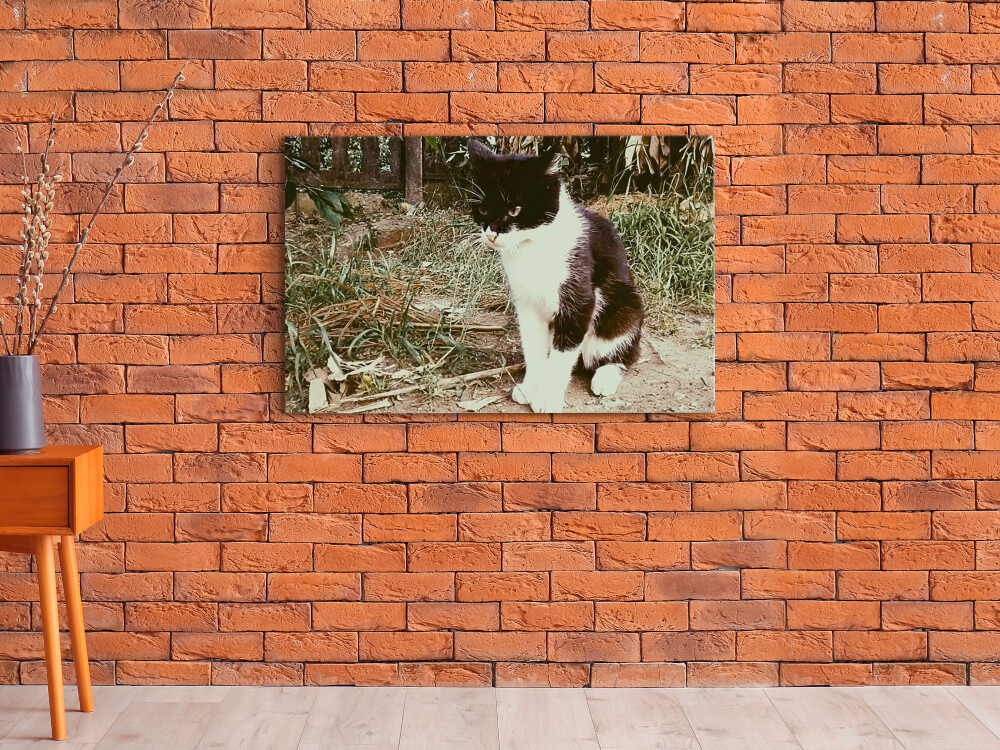 QUADRO DE DECORAÇÃO 20X30cm