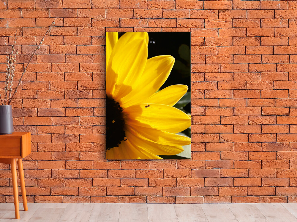 QUADRO DE DECORAÇÃO 20X30cm