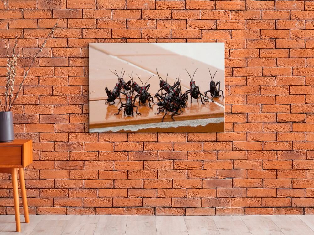 QUADRO DE DECORAÇÃO 20X30cm