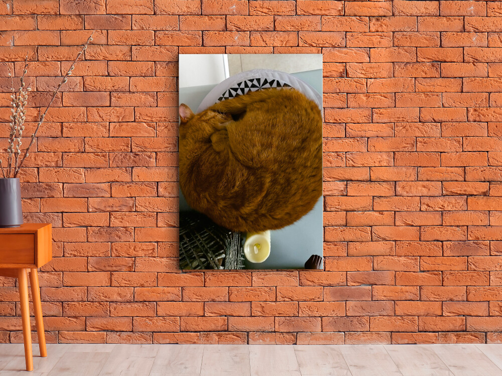 QUADRO DE DECORAÇÃO 20X30cm