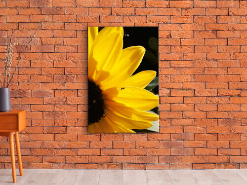 QUADRO DE DECORAÇÃO 20X30cm