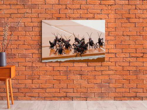 QUADRO DE DECORAÇÃO 20X30cm
