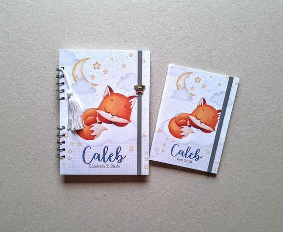Caderneta de Vacinas Personalizada + Porta Certidão