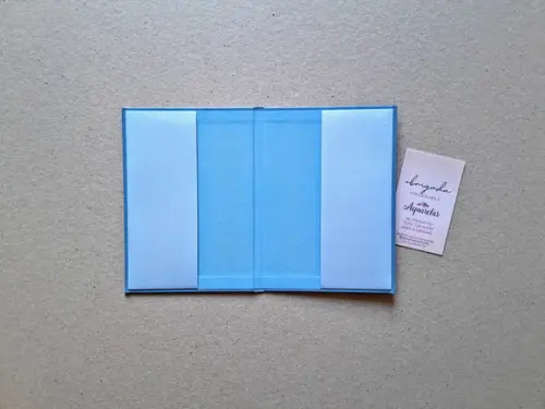 Caderneta de Vacinas Personalizada + Porta Certidão