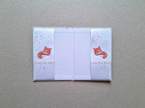 Caderneta de Vacinas Personalizada + Porta Certidão