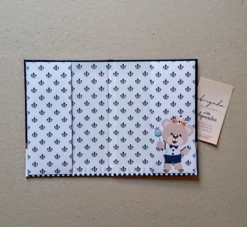 Caderneta de Vacinas Personalizada + Porta Certidão