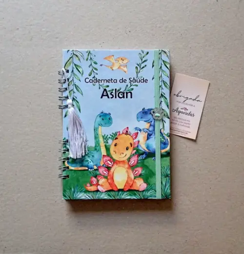 Caderneta de Vacinas Personalizada + Porta Certidão