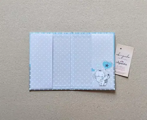 Caderneta de Vacinas Personalizada + Porta Certidão