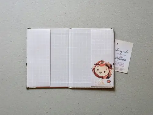 Caderneta de Vacinas Personalizada + Porta Certidão
