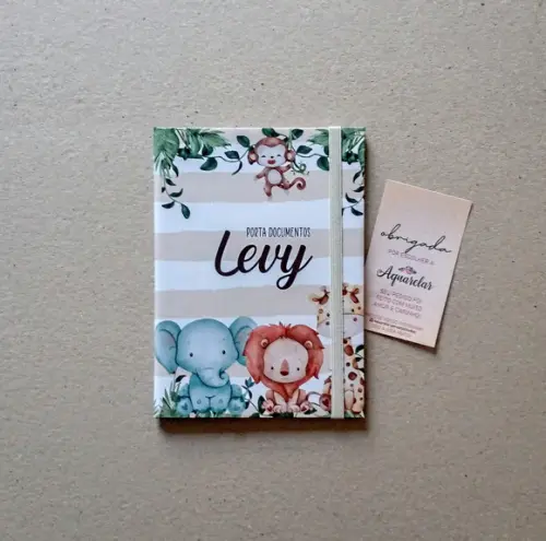 Caderneta de Vacinas Personalizada + Porta Certidão