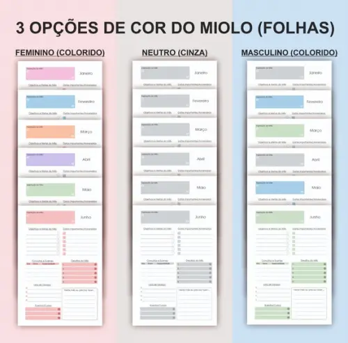 Planner 2026 Personalizado