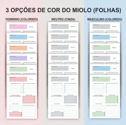 Planner 2026 Personalizado