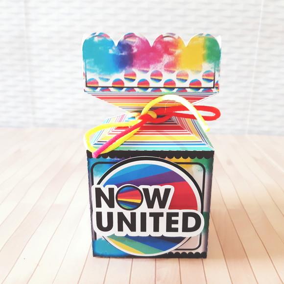 Kit 30 Caixinhas Tema Now United