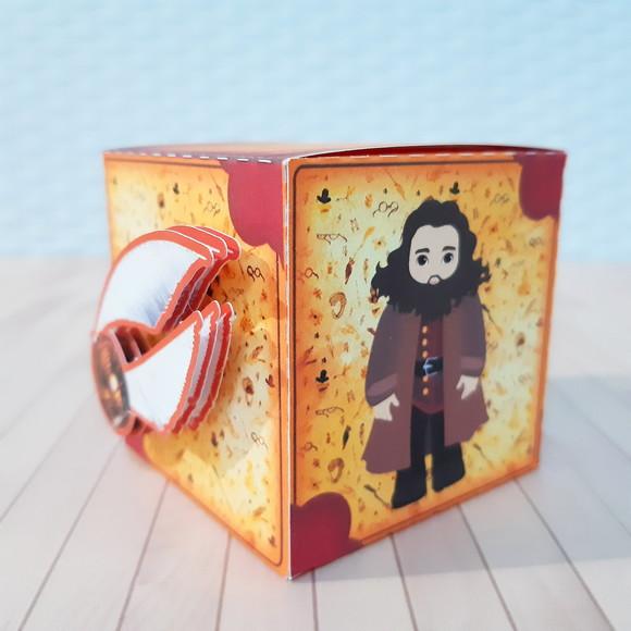KIT FESTA HARRY POTTER 6