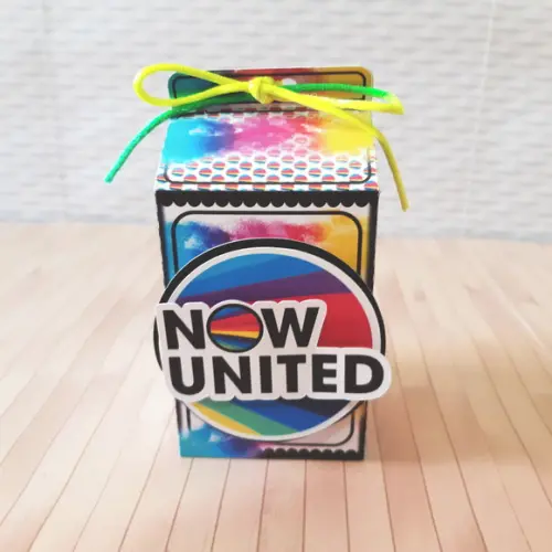 Kit 30 Caixinhas Tema Now United
