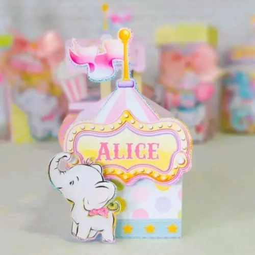Pedido Exclusivo Tema Circo Rosa